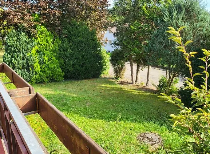 Vakantiehuis Neufra *